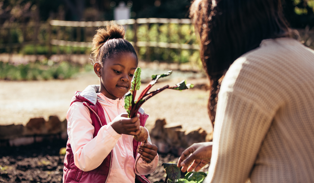 Eco Friendly Family Activities